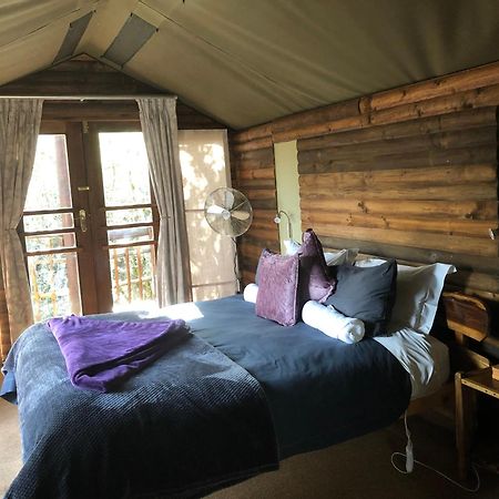 เทนิควา ทรีท็อป Hotel Karatara Settlement ภายนอก รูปภาพ