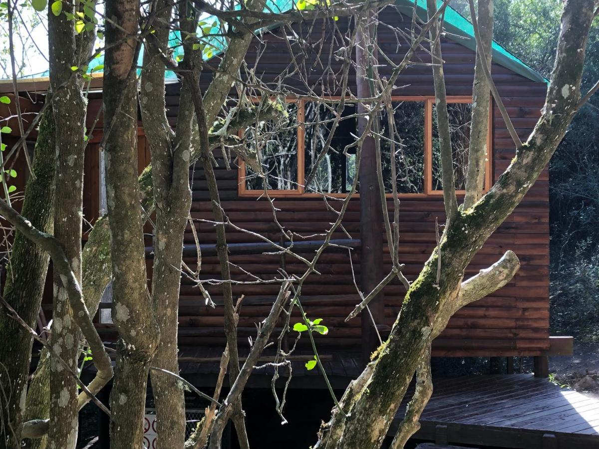 เทนิควา ทรีท็อป Hotel Karatara Settlement ภายนอก รูปภาพ