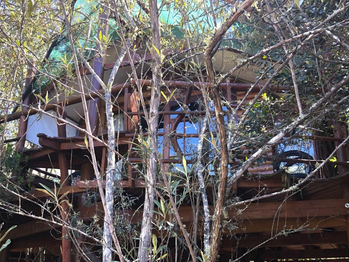 เทนิควา ทรีท็อป Hotel Karatara Settlement ภายนอก รูปภาพ