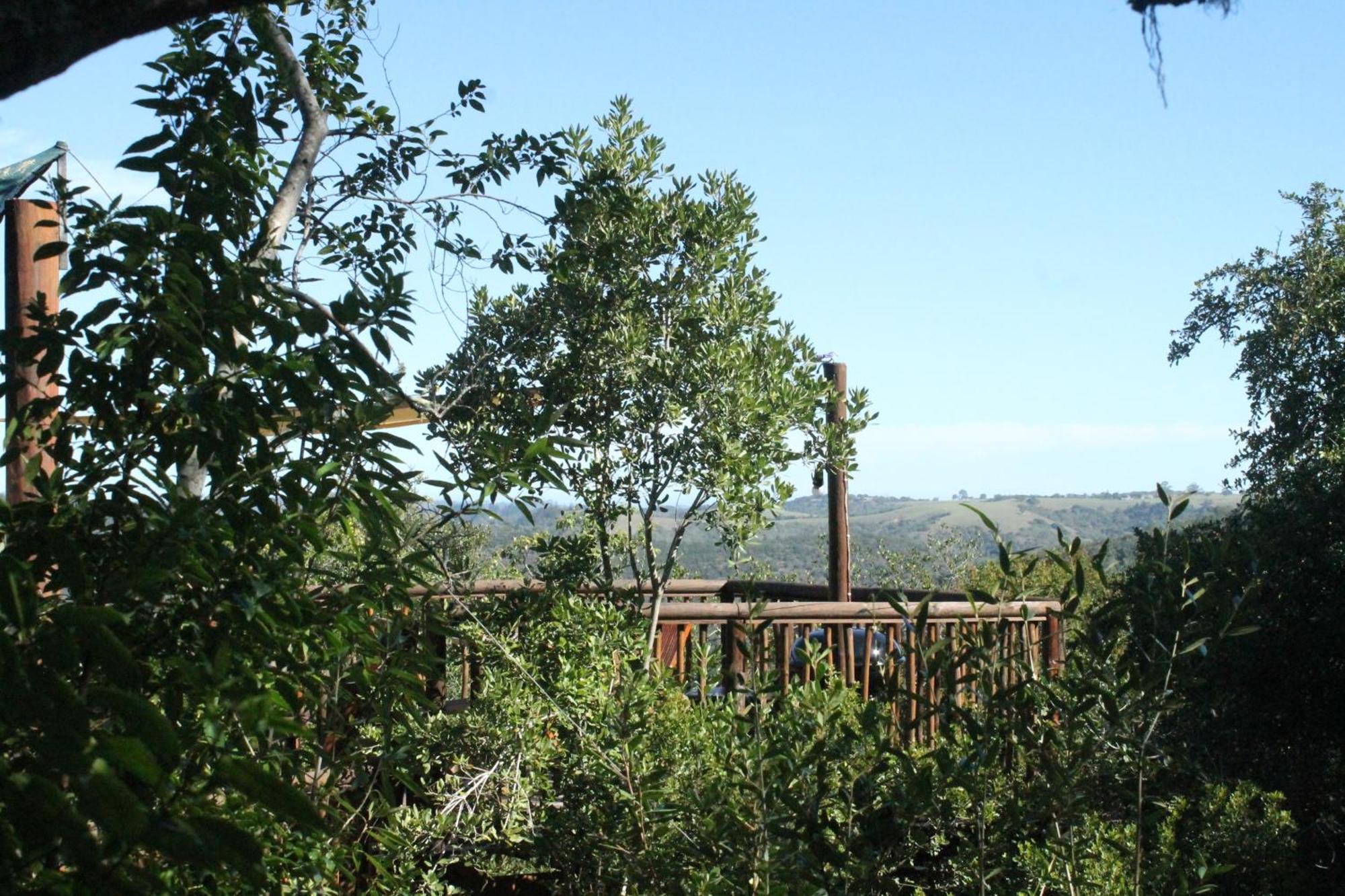 เทนิควา ทรีท็อป Hotel Karatara Settlement ภายนอก รูปภาพ
