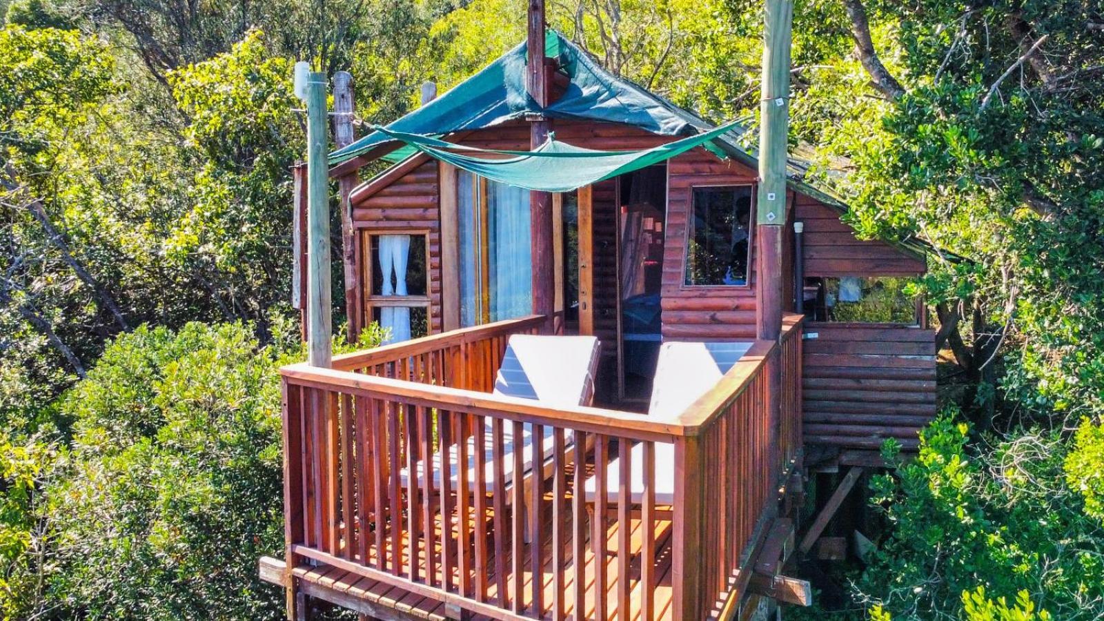 เทนิควา ทรีท็อป Hotel Karatara Settlement ห้อง รูปภาพ