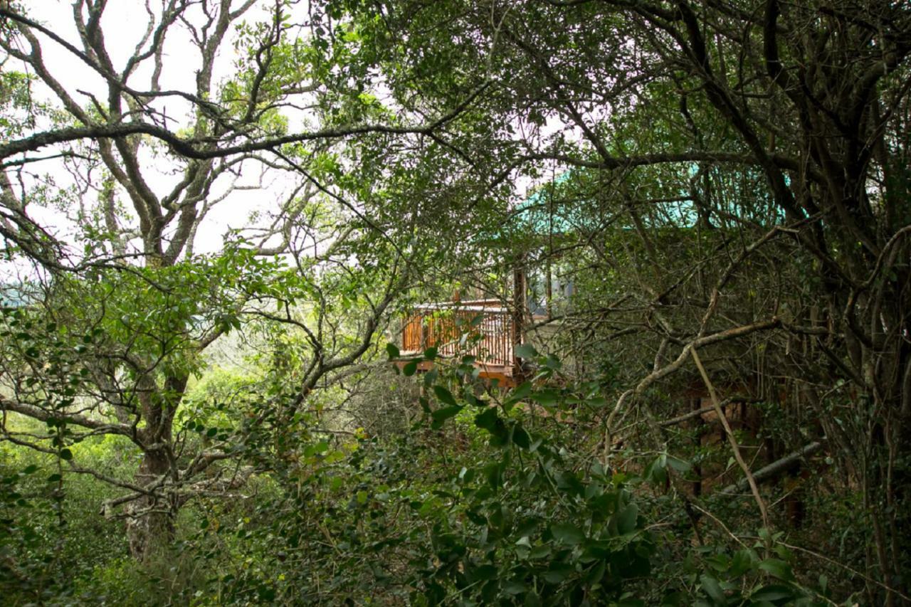 เทนิควา ทรีท็อป Hotel Karatara Settlement ภายนอก รูปภาพ